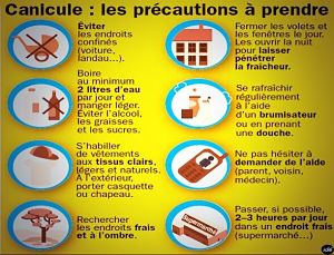 canicule precautions